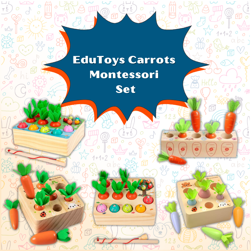 EduToys Carrots Montessori Set