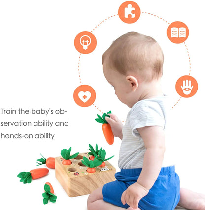 EduToys Carrots Montessori Set