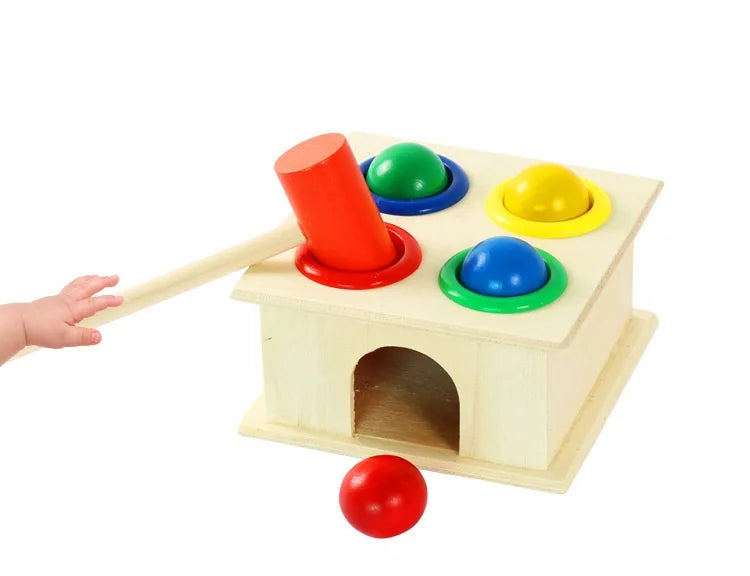 EduToys Funny Montessori Set