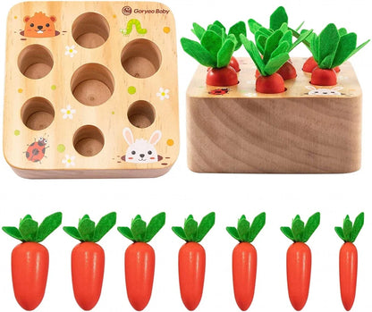 EduToys Carrots Montessori Set