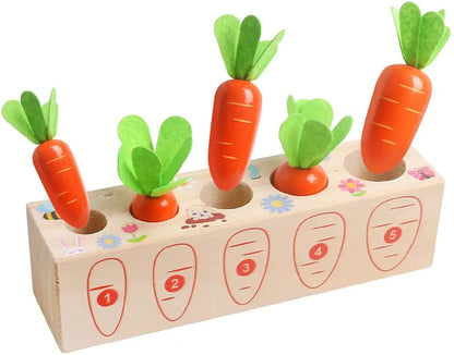 EduToys Carrots Montessori Set