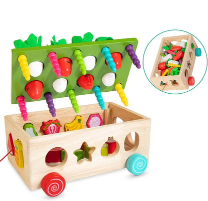 EduToys Pro Montessori Set